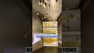 Pasta Plant in Jammu and Kashmir | second hand Pasta machine | pasta machine in Jammu