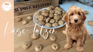 Käse-Tatzen 🐾   |    Hundekekse aus dem Thermomix