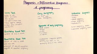 pregnancy diagnosis & differential diagnosis