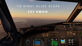 Beyond the Glide Slope: Can We Descend in Time? PMDG 737 Experiment