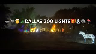 Dallas Zoo Lights