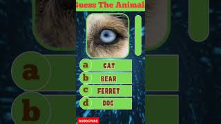 Guess The Animals By EYES | Animal Quiz Challenge #shorts