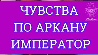 Что чувствует мужчина к Вам по Старшему аркану Император. Обучение Таро