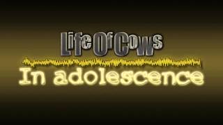 LifeOfCows - In adolescence (Original Mix)