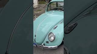 Encontro de carros antigos! Piscinão Aricanduva! #fusca #carroantigo #aricanduva #7008films