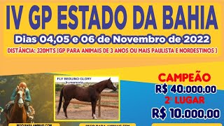 GP HARAS GRUPO PEREIRA - 2022