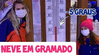 NEVE EM GRAMADO? NÃO ACREDITO QUE FIZERAM ISSO | Dudda Alves