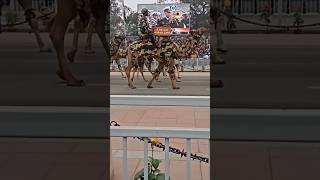 Indian Army Black camels in Republic Day of India Celebration 2023 , #republicdaycelebration2023