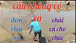 Câu cá không ăn đem chài ra không ngờ