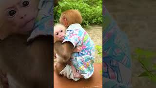 Bibi takes the baby monkey out