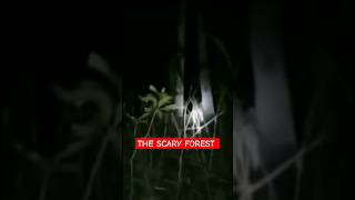 Seeking For Ghost in Scary Places of Forest #ghosthunting #paranormalinvestigation