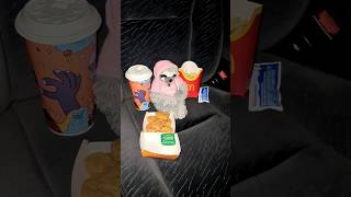 Gramitch chillt im Ford Scorpio isst MCDonald's Chicken Nuggets mit Pommes und Sprite