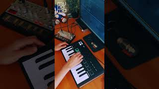 Hot Butter - Popcorn (Live Loop Cover) | Minilab 3 #volcabass #ableton #synthmusic