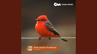 Birdie Outside the Window (Instrumental)