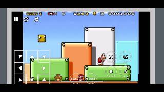 Super Mario advance 4