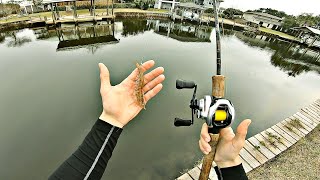 FISHING ULTRA CLEAR SALTWATER IN FLORIDA USING THE BEST BAIT EVER! (LIVE SHRIMP FISHING)