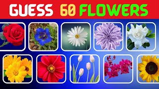 Guess the Flower Quiz Challenge! 🌸 Test Your Floral Knowledge!