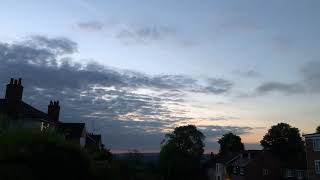 Dawn Chorus, 22 June 2019