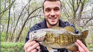 This SMALL Creek is Full of BIG BASS (Nikko Hellgrammite!)