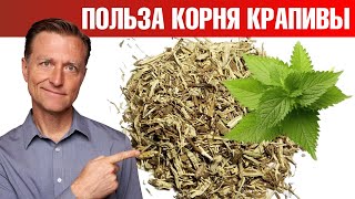 Корень жгучей крапивы – суперсредство от артрита и не только!🔥