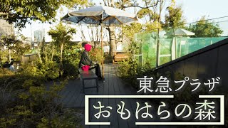 東京を一望できる人気アニメの聖地！【東急プラザ『おもはらの森』】