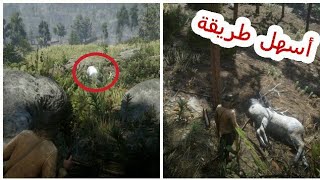 رحلة صيد الغزال الأسطوري في Red dead redamption2 legendry elk hunting|RDR2