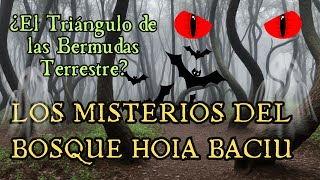 Misterios del Bosque Hoia Baciu - ¿El Triángulo de las Bermudas Terrestre?