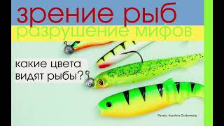 Зрение рыб отличается от зрения человека. Как видят цвета под водой рыбы? Лучшие цвета для приманок!