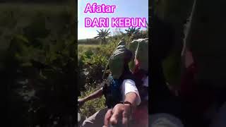 TOPENG DAUN#VIRAL#VIDIO LUCU#BIKIN NGAKAK#SHORTE