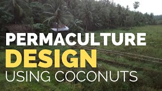 Permaculture Design Using Coconuts - Pitogo, Quezon [VLOG E01]