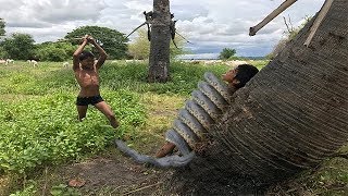 Terrifying ! Two Boys Catch Extremely Big Snake While Coming Back Net Fishing In Big Lake