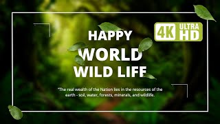 Wildlife Animals 4K UHD || Beautiful Nature & Animals Videos