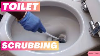 Toilet Scrubbing Art With Baking Soda And Hydrogen Peroxide