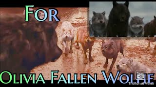 Twilight Wolf Music Video For Olivia Fallen Wolfie ( Sorry if Background noise )