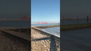 One Container Ship - Cuxhaven Elbmündung ShipSpotting #Shorts