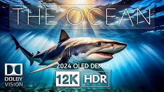 2024 OLED DEMO | The Ocean 12K HDR 60fps Dolby Vision