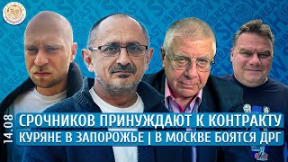 Куряне в Запорожье, Срочников принуждают к контракту, В Москве боятся ДРГ. Морозов, Чувиляев