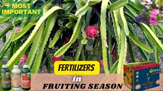 Most important Fertilizers During Fruiting Season of Dragon Fruit @kisaanmitra