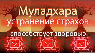 Муладхара корневая чакра, устранение страхов, способствует здоровью