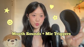 ASMR | 200% Tingles Mouth Sounds + Mic Triggers (Mic Pumping, Gripping, Scratching)