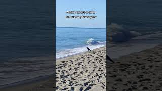 Watch This Amazing Crow Call Out to the Waves in Deep Thought #crow #corvids #crows #shortsviral