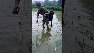 village fishing #shorts #fish #fishing