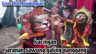 Tari kucingan!! jaranan sawung galing panggang Live Dsn Blimbingsari