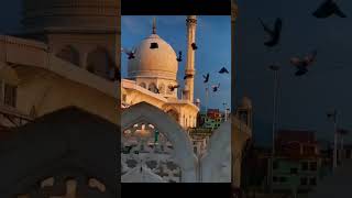 #madina #viral #allah #trending #islamicstatus #islamic #shorts #youtubeshorts #ytshort #trend