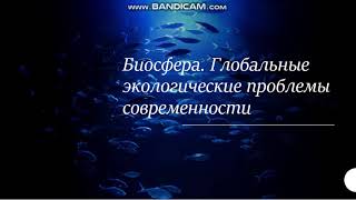 Рациональное использование природных ресурсов. Лекция 1