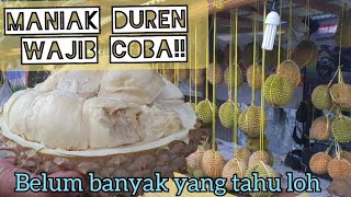 DUREN CIBANON BOGOR || DURIAN LOKAL PREMIUM