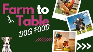 Farm to Table Dog Food with Dr. Erin O'Connor and Louis John