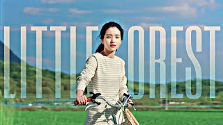 Kim Taeri 김태리 [Hye-Won] - Little Forest 리틀 포레스트 💚 ||FMV||