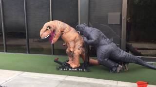 Godzilla + T-Rex Getting Swoll at a Grand Junction Gym