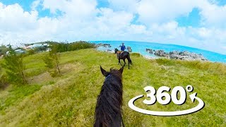 Horseback Riding on the Beach in Bermuda - 4K 360 VR Video